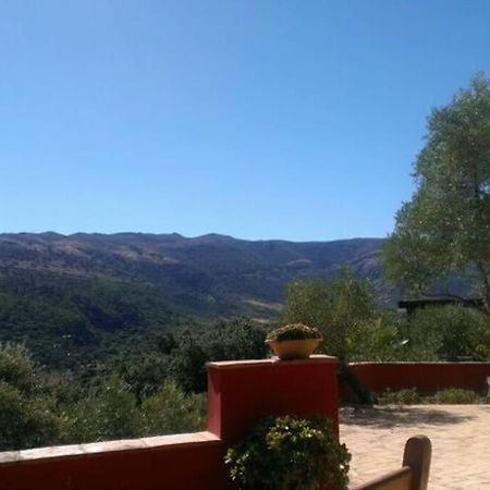 Villa Carmen Magnificent Country House In Serrania Ronda Bagian luar foto