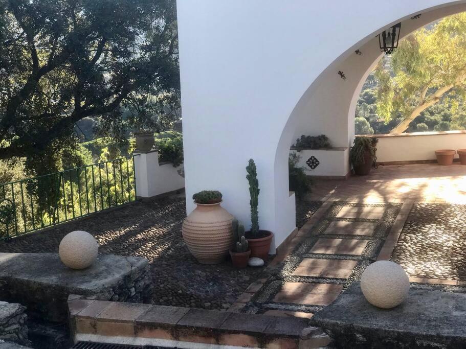 Villa Carmen Magnificent Country House In Serrania Ronda Bagian luar foto