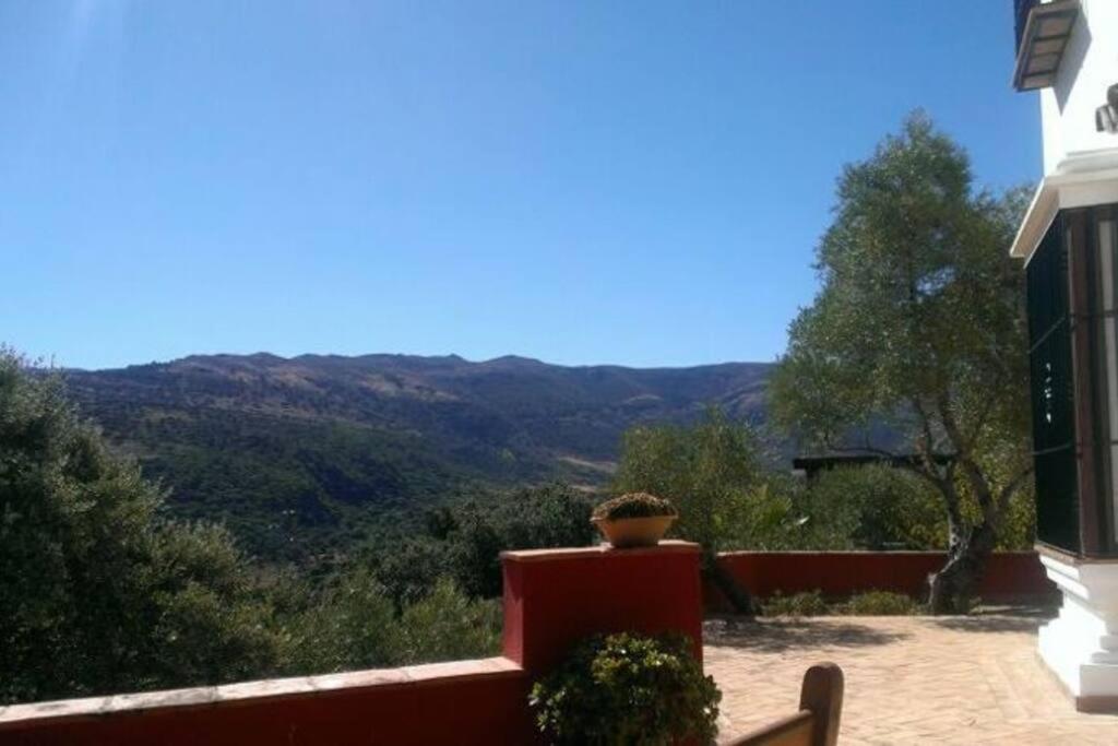 Villa Carmen Magnificent Country House In Serrania Ronda Bagian luar foto