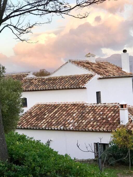 Villa Carmen Magnificent Country House In Serrania Ronda Bagian luar foto