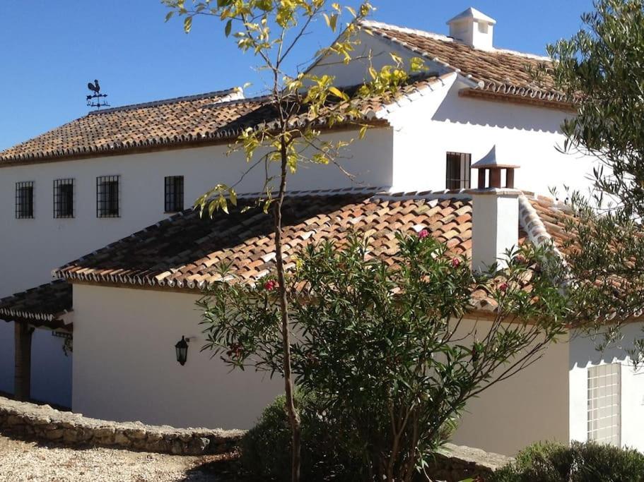 Villa Carmen Magnificent Country House In Serrania Ronda Bagian luar foto