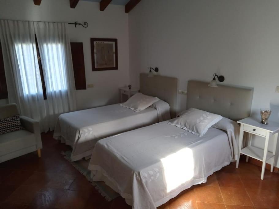 Villa Carmen Magnificent Country House In Serrania Ronda Bagian luar foto