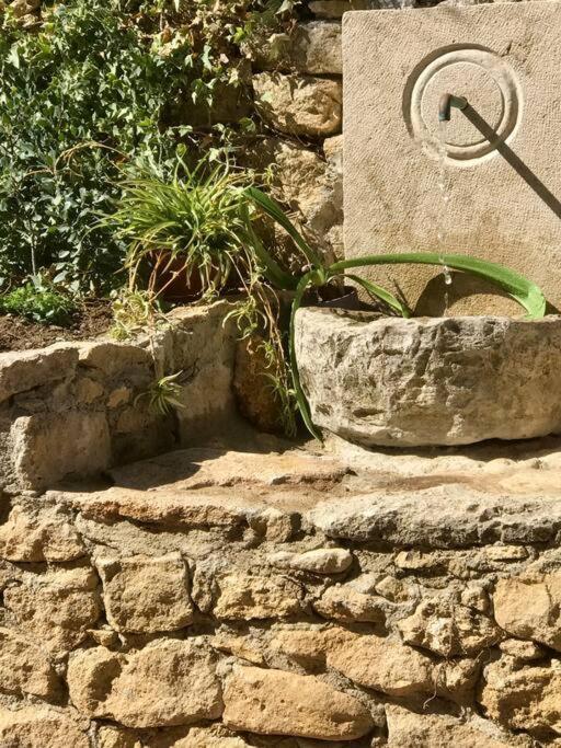 Villa Carmen Magnificent Country House In Serrania Ronda Bagian luar foto